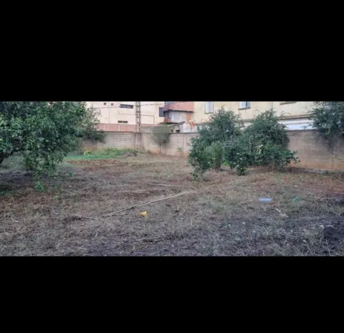 Vente Alger Birkhadem