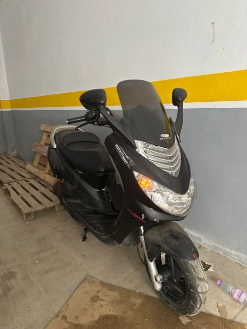 Peugeot Elystar 2010