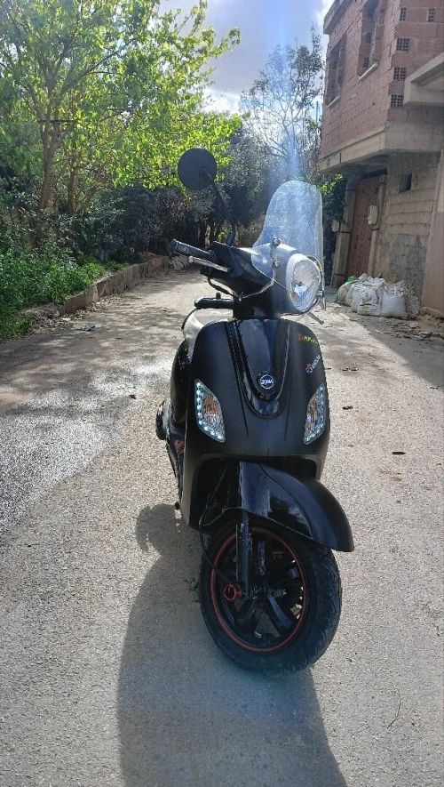 Sym Fiddle 3 2024