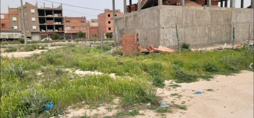 Vente Terrain Djelfa Djelfa