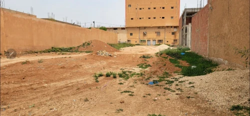 Vente Terrain Djelfa Djelfa