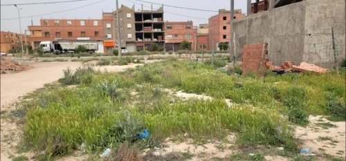 Vente Terrain Djelfa Djelfa