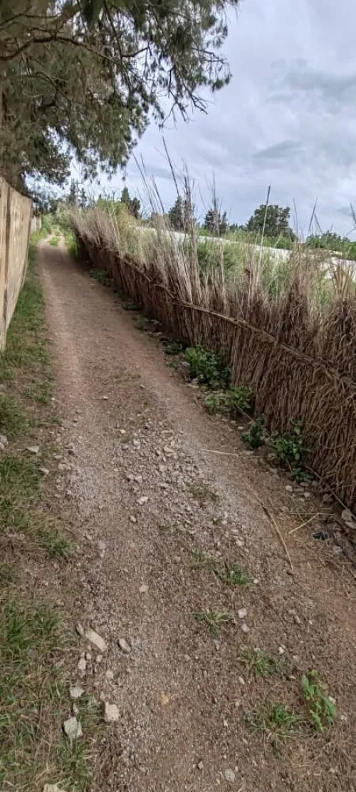 Vente Terrain Tipaza 