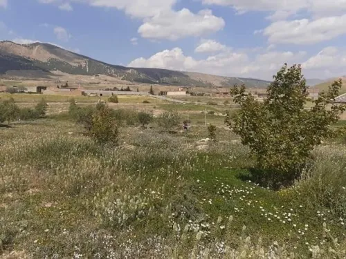 Vente Terrain Agricole Batna Ras el aioun