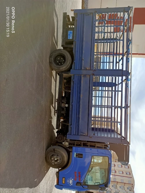 super jumbo Isuzu 2017