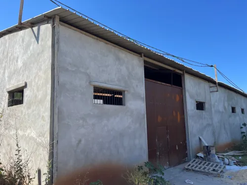 Location Hangar - Usine Alger Saoula