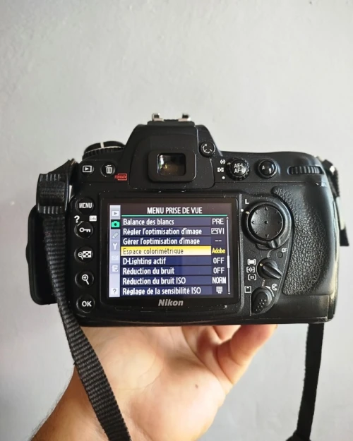  Nikon D300 2 Batteries  et Sac bon état