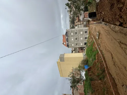 Vente Terrain Alger Saoula