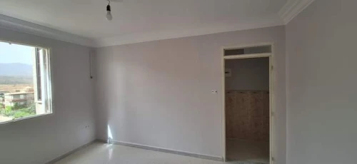Peintre professionnel
