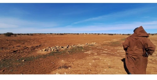 Vente Terrain Agricole Saïda Ain el hadjar