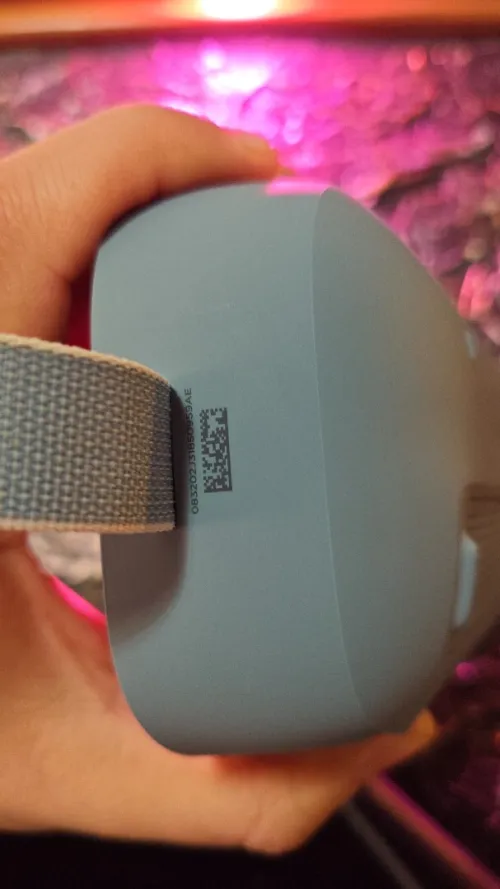 Bose SoundLink flex