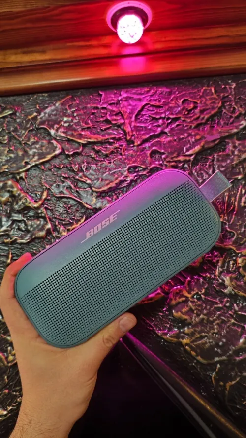Bose SoundLink flex