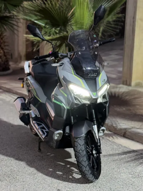 VMS XDV 2024