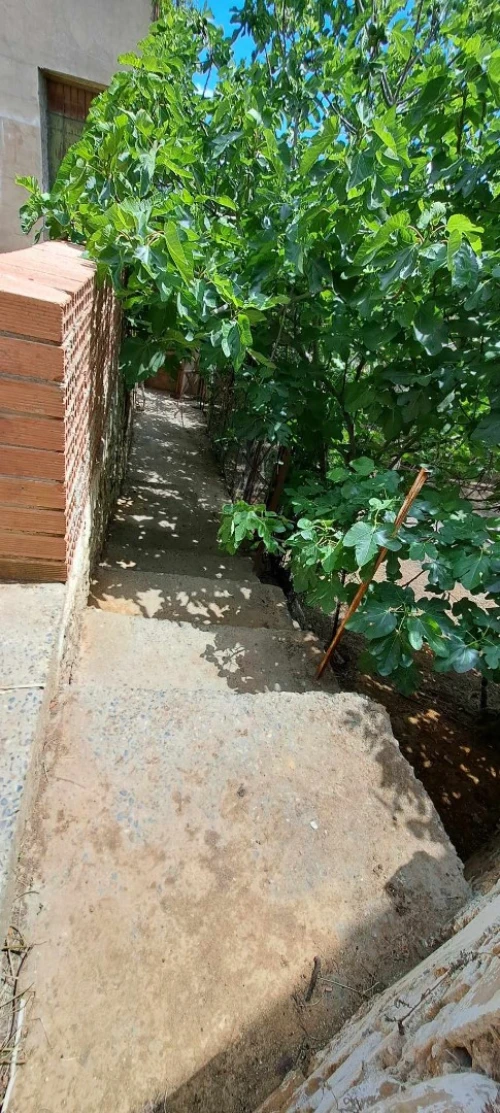 Vente Terrain Medea Medea