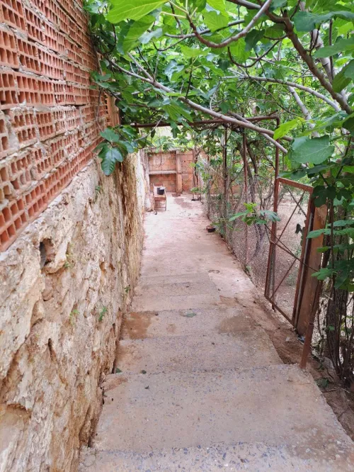 Vente Terrain Medea Medea