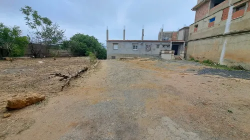 Vente Terrain Medea Medea