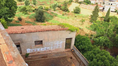 Vente Terrain Medea Medea