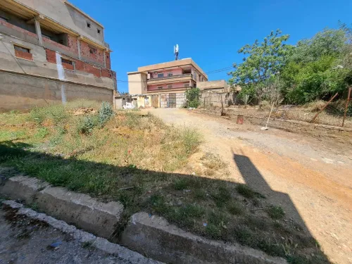 Vente Terrain Medea Medea