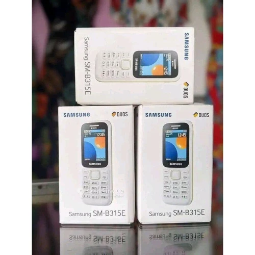 Téléphone Portable Samsung DUOS B315E B315E