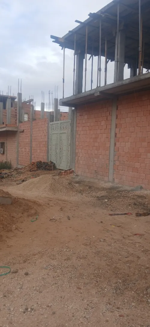 Vente Terrain Djelfa Djelfa