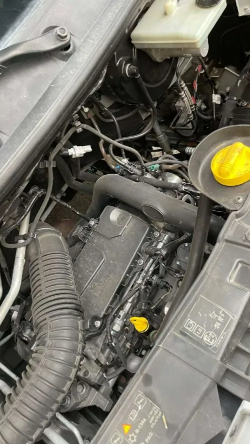 Renault Master 2019