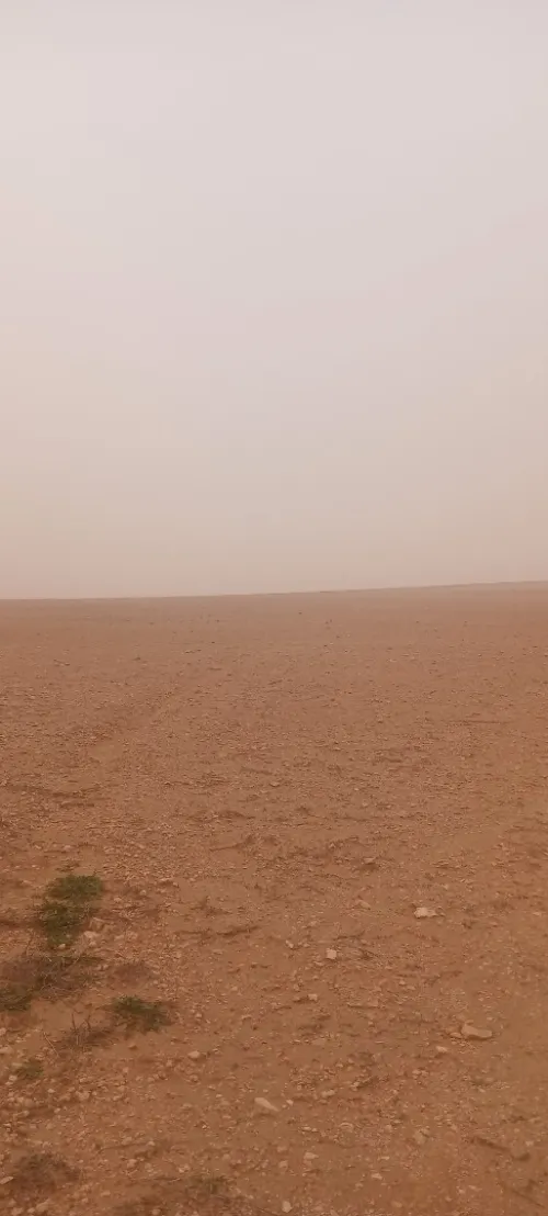 Vente Terrain Agricole Saïda Sidi ahmed