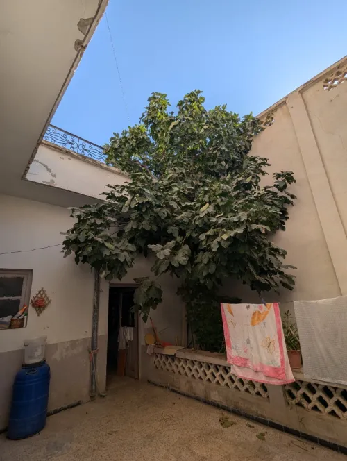 Vente Villa Oum El Bouaghi Ain mlila