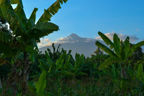 فيزا تنزانيا زنجبار / VISA TANZANIE ET ZANZIBAR
