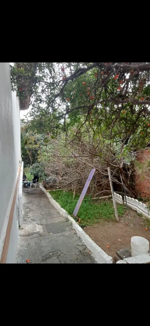 Vente Villa Alger El biar