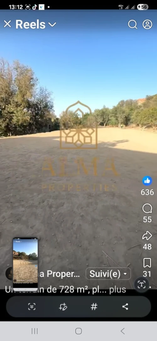 Vente Terrain Tlemcen Tlemcen