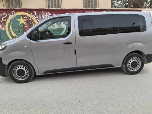 Peugeot Expert 2020 Expert