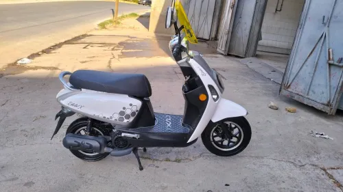Vms Estate x 2025