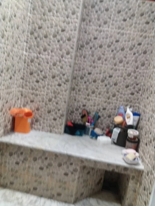 Location Appartement F4 Alger Staoueli