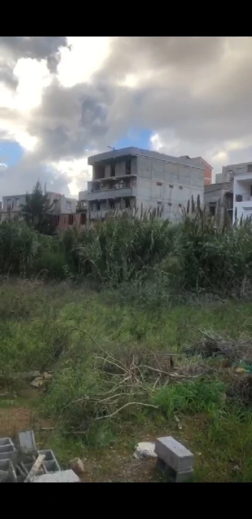 Vente Terrain Alger Saoula