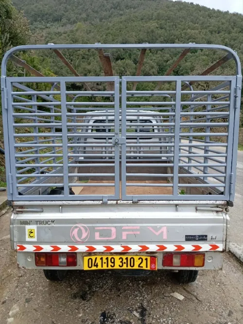 DFM DFM 2010