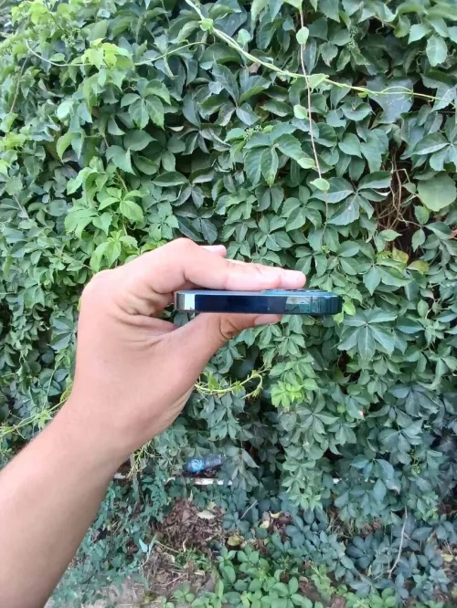Iphon Iphon 12 pro
