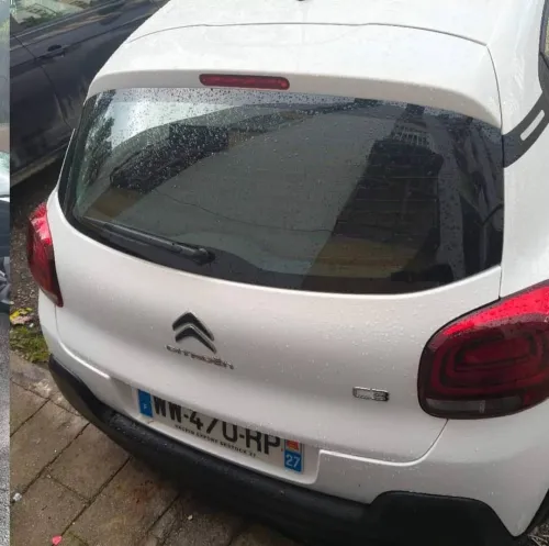 Citroen C3 2024 You
