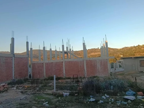 Vente Terrain Skikda Tamalous