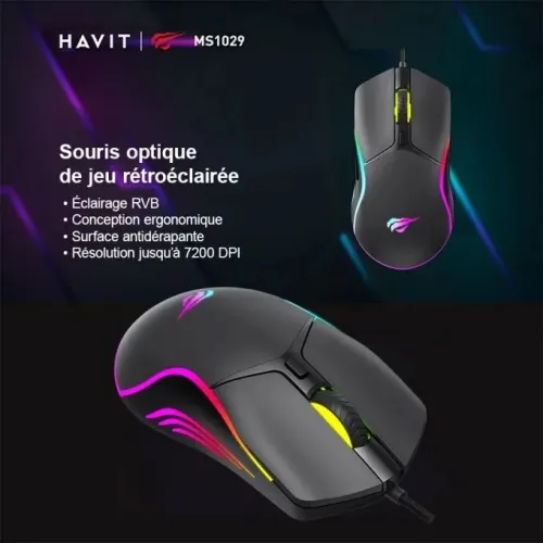 Souris gaming havit ms1029