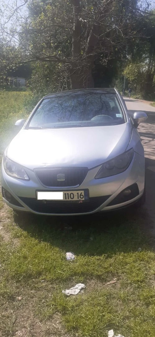 Seat Ibiza 2010 Loca
