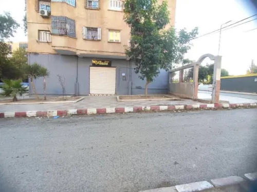 Vente Local Sidi Bel Abbès Sidi bel abbes
