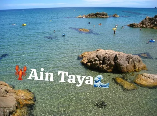 Vente Appartement F3 Alger Ain taya