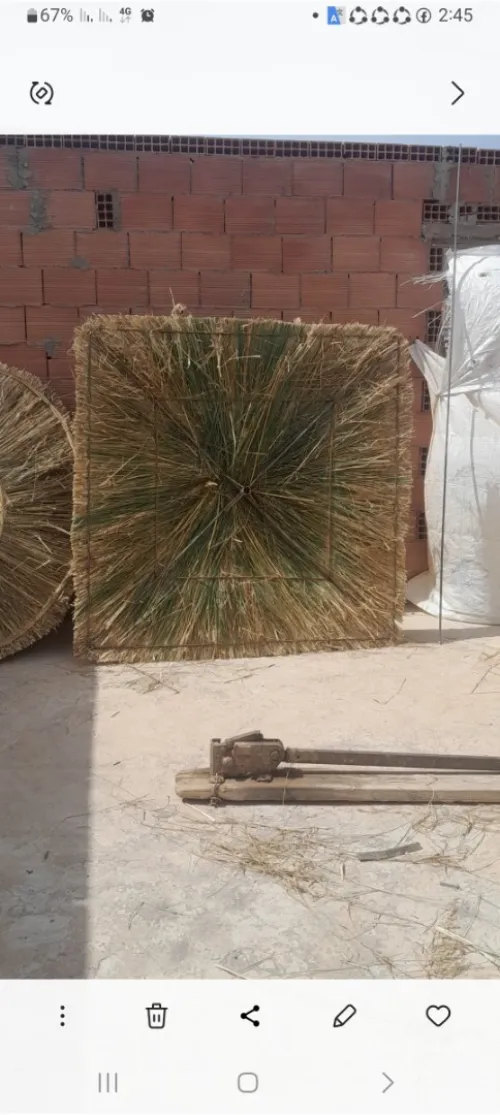 Parasol de plage artistique 