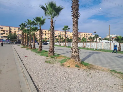 Cherche location Appartement F3 Alger Mohammadia