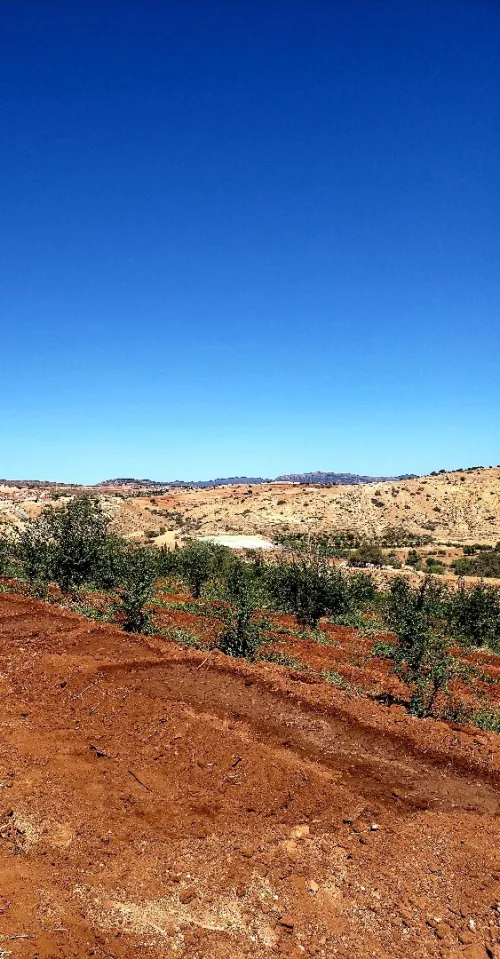 Vente Terrain Agricole Tlemcen Ain fetah
