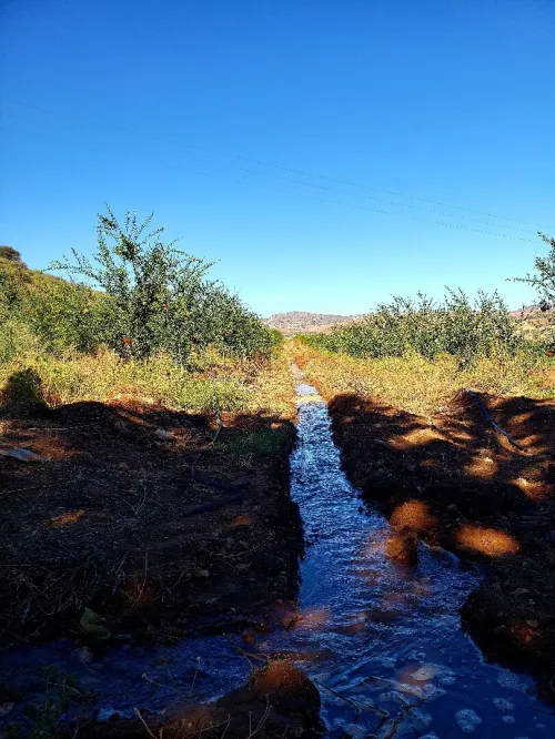 Vente Terrain Agricole Tlemcen Ain fetah
