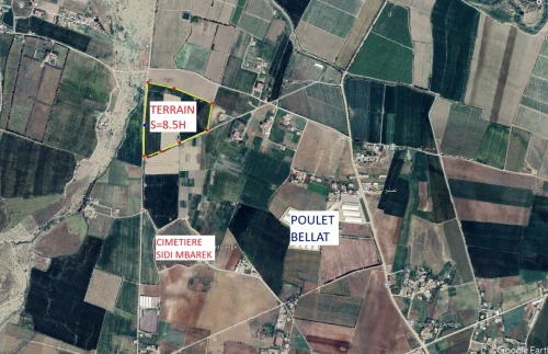 Vente Terrain Agricole Aïn Defla Ain soltane