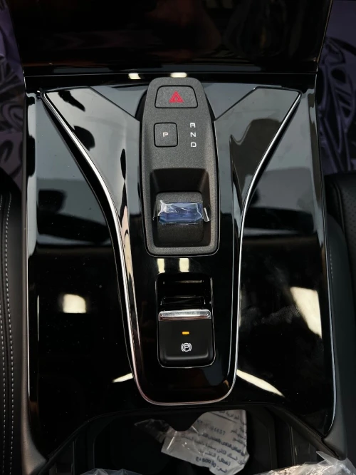 Dongfeng  Mega 2026 320T