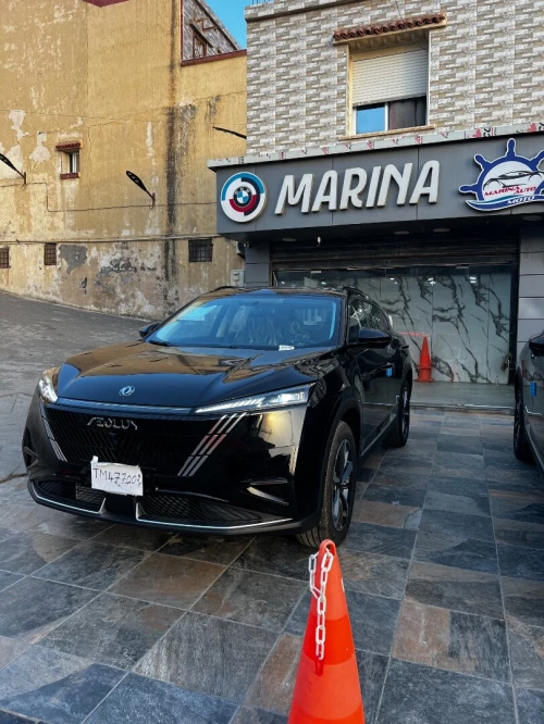 Dongfeng  Mega 2026 320T