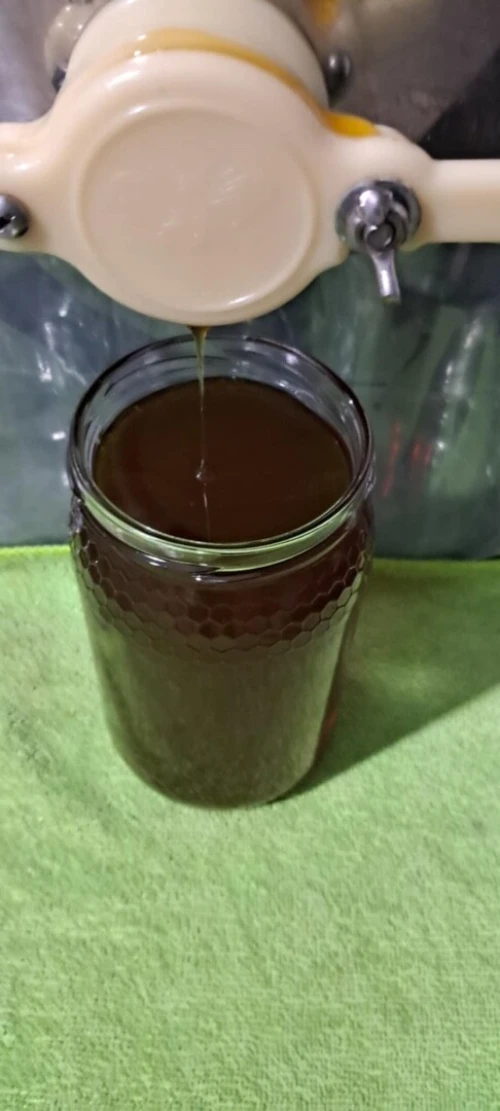 عسل شوكيات و سدرة حرة 100% بالجملة - أسعار تنافسية (تخفيضات للكميات الكبيرة)